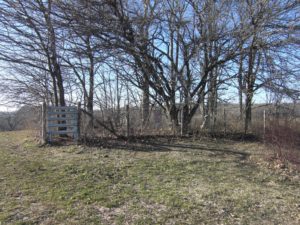 Carver/Turner Cemetery