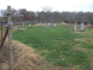 Gibbs Family Cemetery