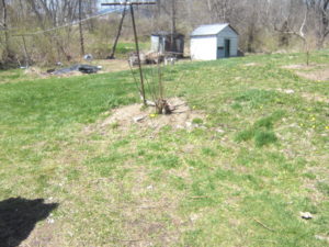 Unknown Graves on 8th St. in Bowling Green 4 graves. 1baby and 3 adults