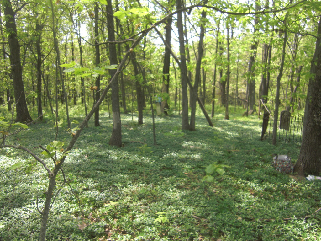 New Hartford Township