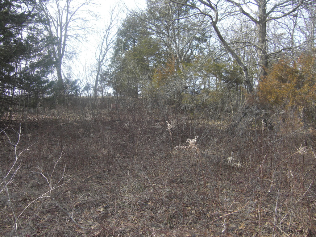 New Hartford Township