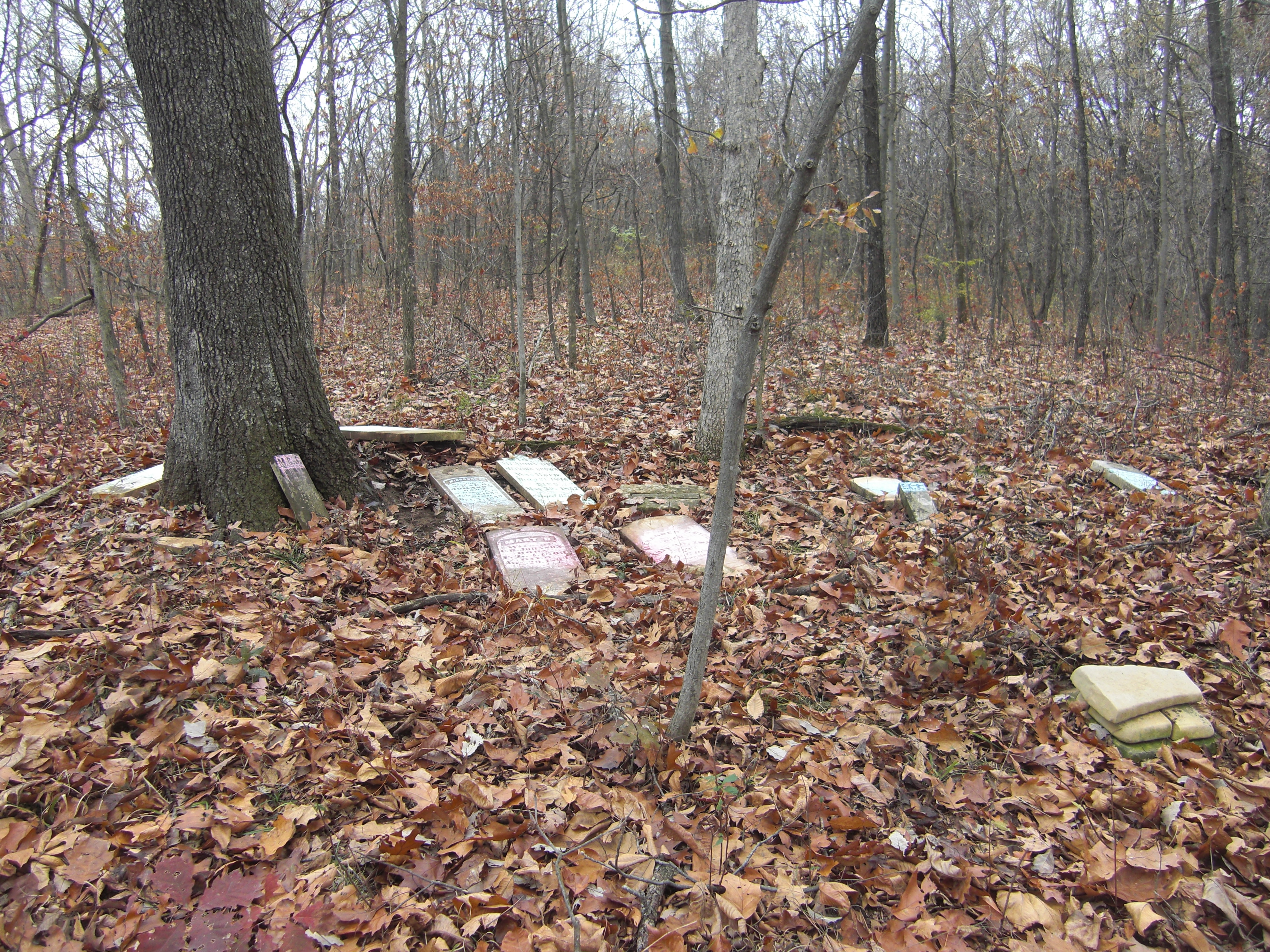 Prairieville Township